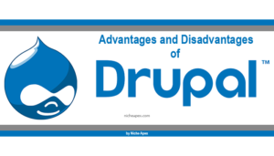 drupal-advantages--disadvantages-information-tips-guide-help-logo-cms-advantage-of-using-benefits-review-overview