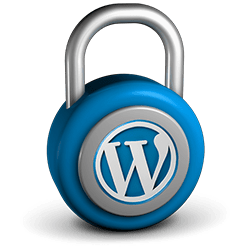 security-secure-information-tips-tricks-information-help-guide-top-best-plugins-themes-website-blog-sites-wordpress-word-press-review-reference-free-pointers-overview