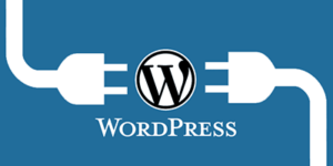 plugins-wordpress-word-press-wp-themes-resources-free-paid-information-guide-help-tips-help-reference-websites-blogs-find-assistance-coding