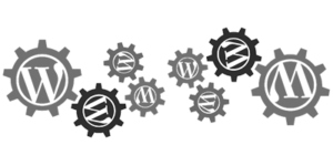 wordpress-word-press-plugin-blog-website-site-guide-tips-help-reference-review-pointers-information-overview-cms-code-post-article