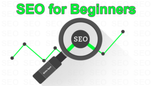 seo-search-engine-optimization-search engine optimization-beginners-guide-reference-tips-help-information