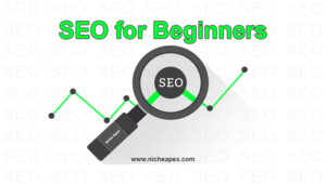 SEO-for-beginners-search-engine-optimization-search engine optimization-guide-tips-reference-information