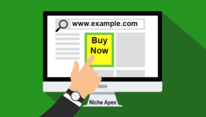 buying a domain name,domain name,domains,buying,tips,guide,pointers,advice,help,reference