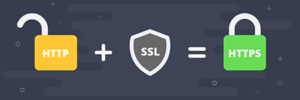 http,ssl,https