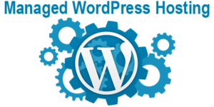 managed wordpress hosting,wordpress web hosting