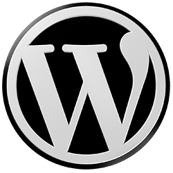 wordpress seo tips,wordpress